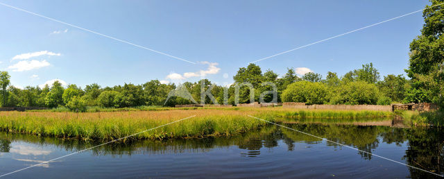 National Park Weerribben-Wieden