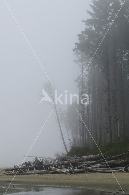 Pacific Rim National Park Reserve