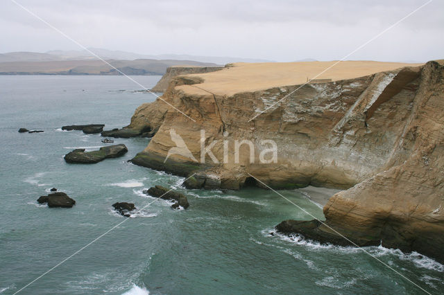 Paracas National Reserve