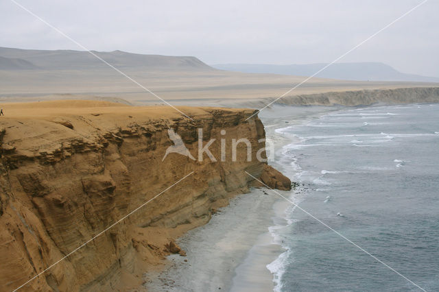 Paracas National Reserve