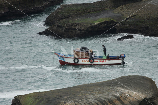 Paracas National Reserve