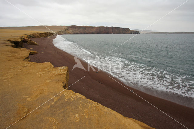 Paracas National Reserve