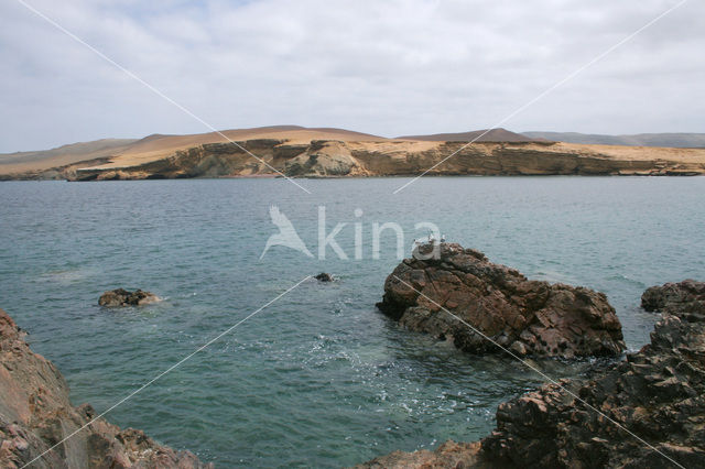 Paracas National Reserve