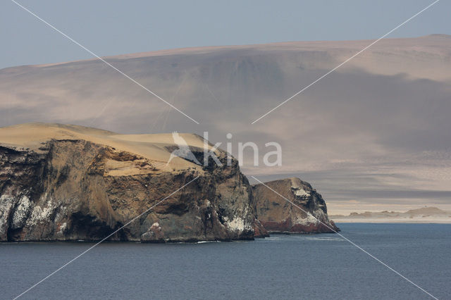 Paracas National Reserve