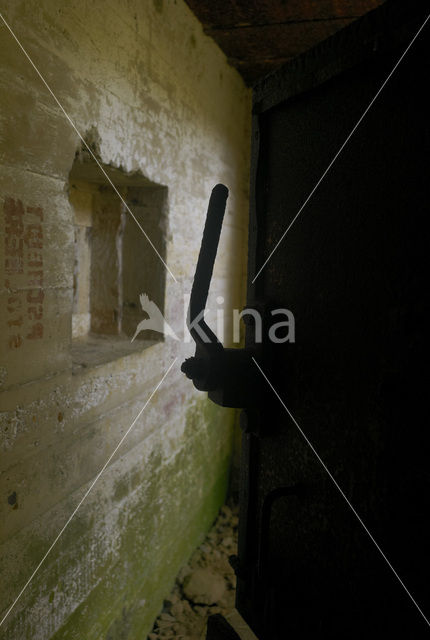 Pointe du Hoc