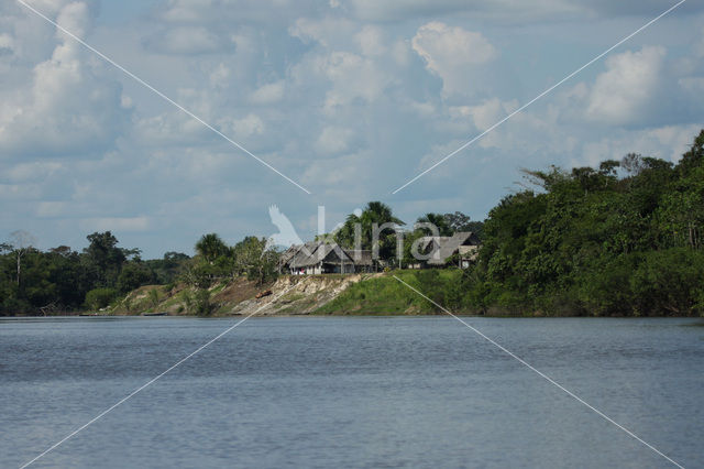 Tamshiyacu Tahuayo Reserve