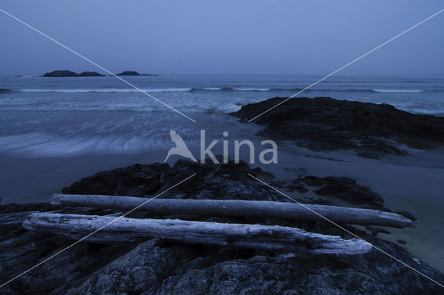 Ucluelet