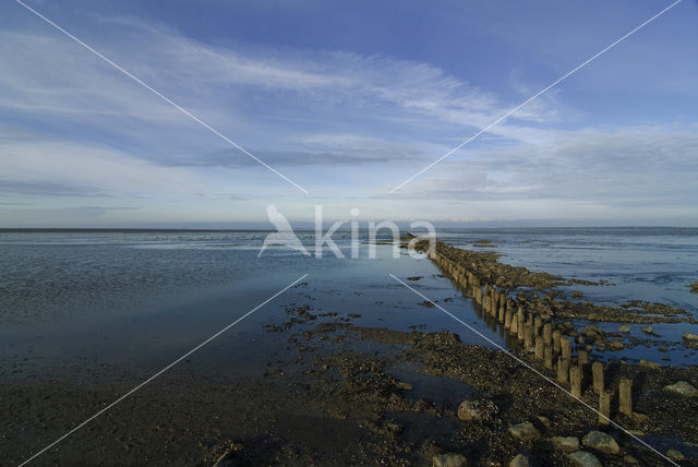 Waddenzee