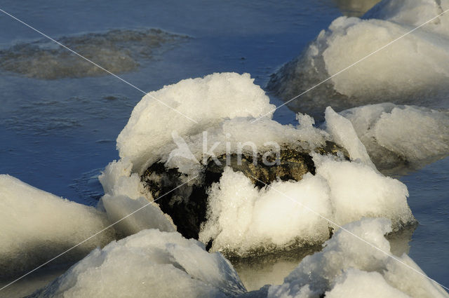 Waddensea