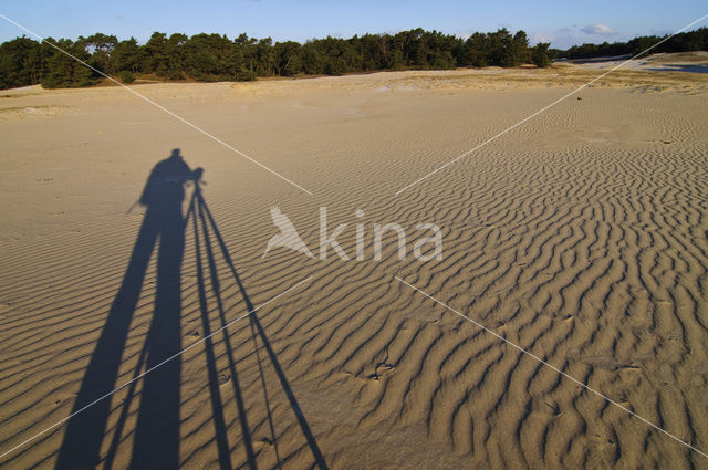 Wekeromse zand