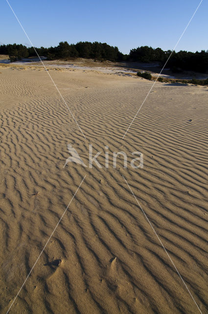 Wekeromse zand