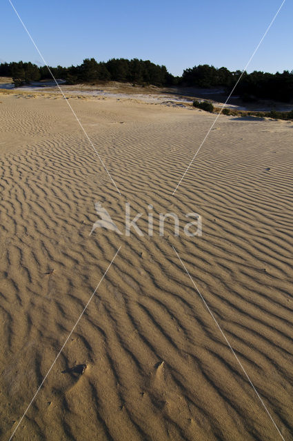 Wekeromse zand