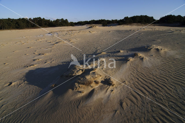 Wekeromse zand