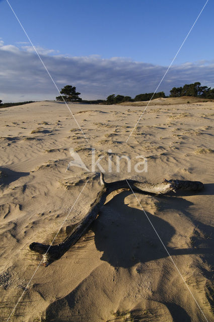 Wekeromse zand