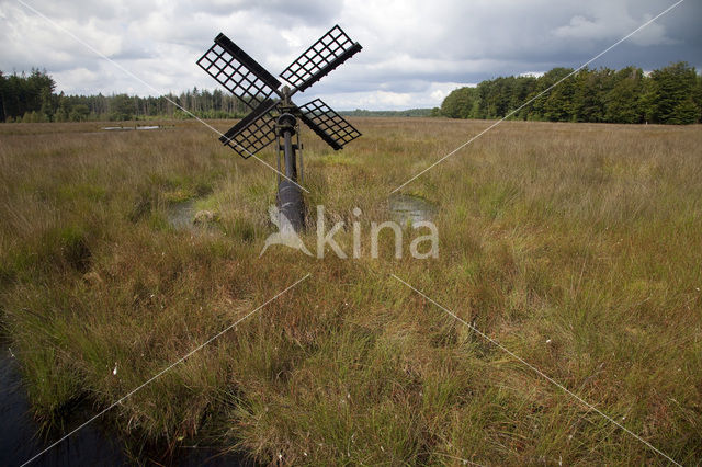 Grolloerveen