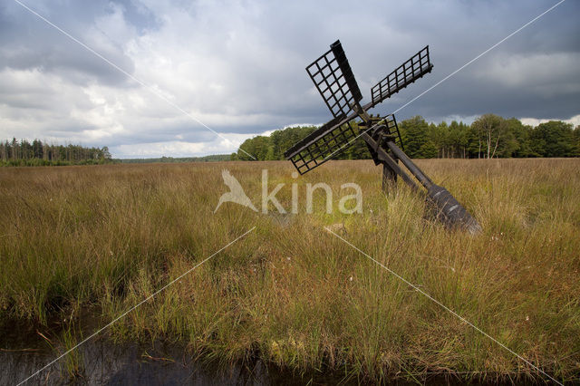 Grolloerveen