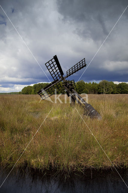 Grolloerveen