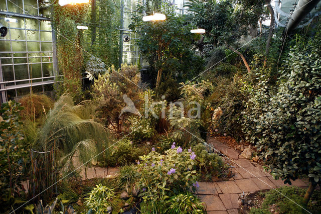 Hortus Botanicus