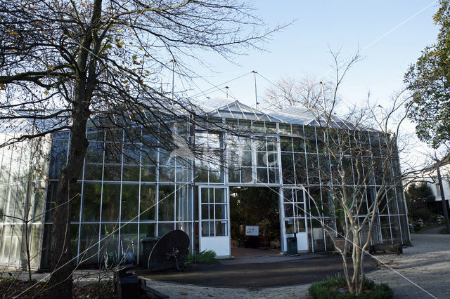 Hortus Botanicus