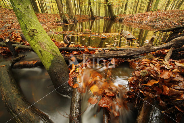 Landgoed Leuvenhorst