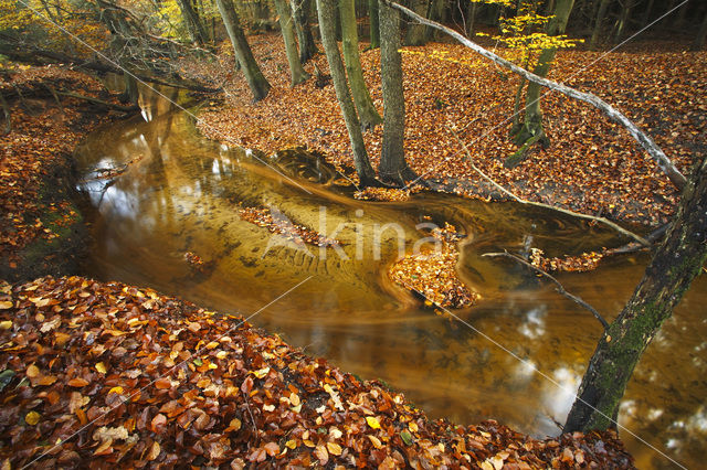 Landgoed Leuvenhorst