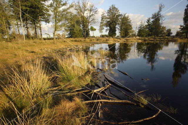 National Park Drents-Friese Wold