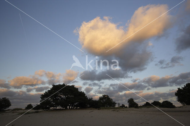 National Park Drents-Friese Wold