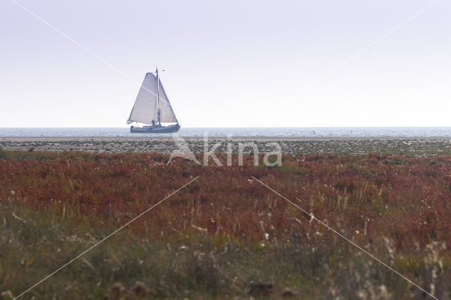 Nationaal park Schiermonnikoog