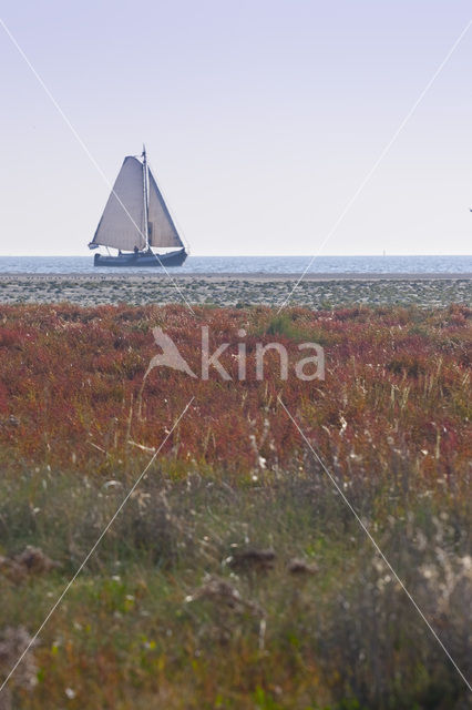 Nationaal park Schiermonnikoog