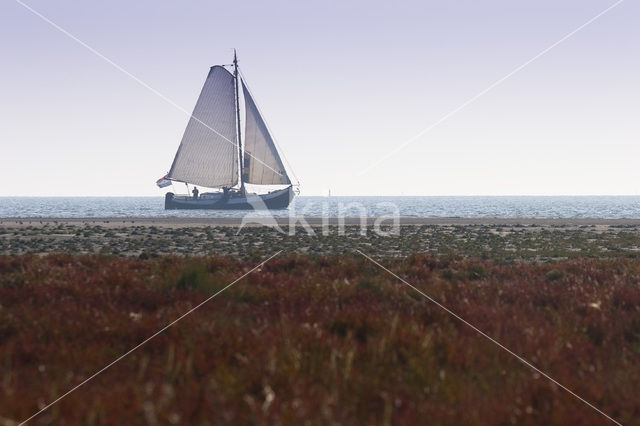 National Park Schiermonnikoog