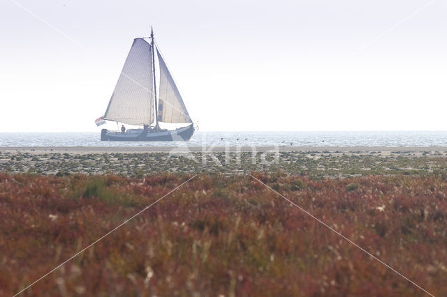 National Park Schiermonnikoog