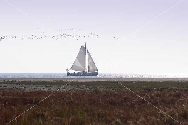 National Park Schiermonnikoog