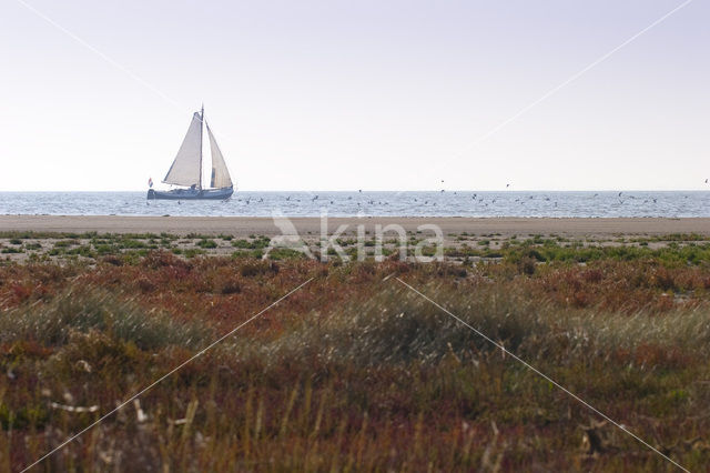 National Park Schiermonnikoog