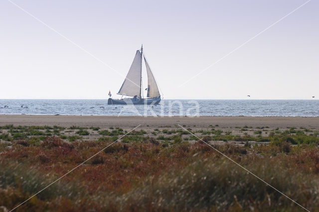 National Park Schiermonnikoog