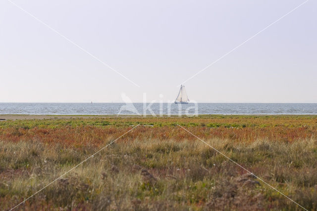 National Park Schiermonnikoog