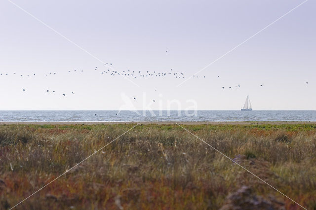 Nationaal park Schiermonnikoog