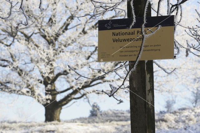 Nationaal Park Veluwezoom