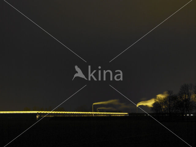 The Netherlands