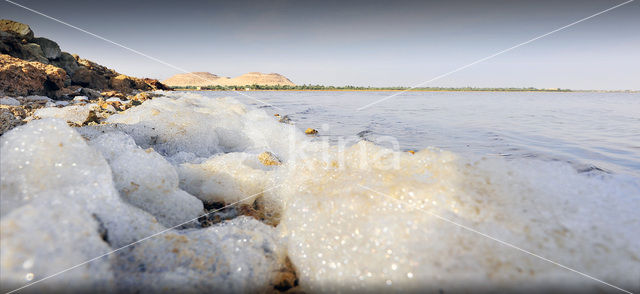 Bahariya Oasis