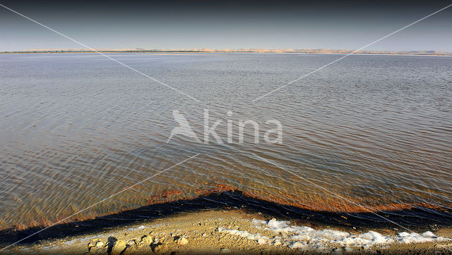 Bahariya Oasis