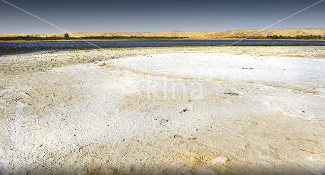 Bahariya Oasis