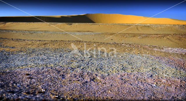 Libyan Desert