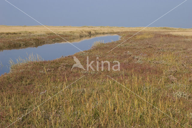 National Park Schiermonnikoog