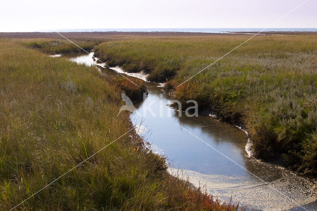 Nationaal park Schiermonnikoog