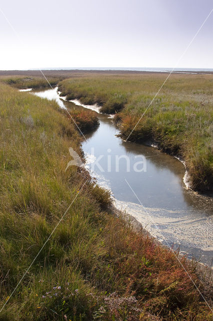 National Park Schiermonnikoog