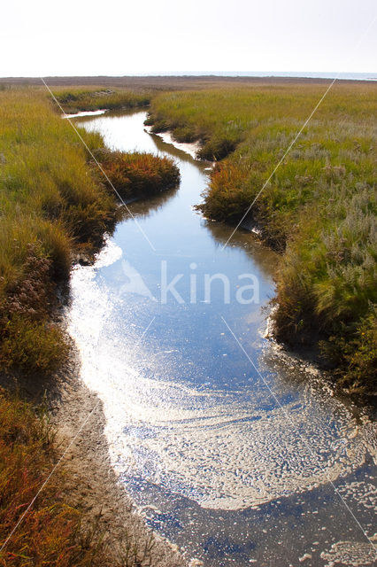 National Park Schiermonnikoog