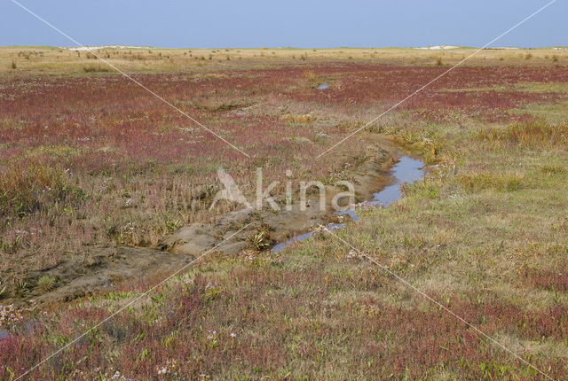 Nationaal park Schiermonnikoog