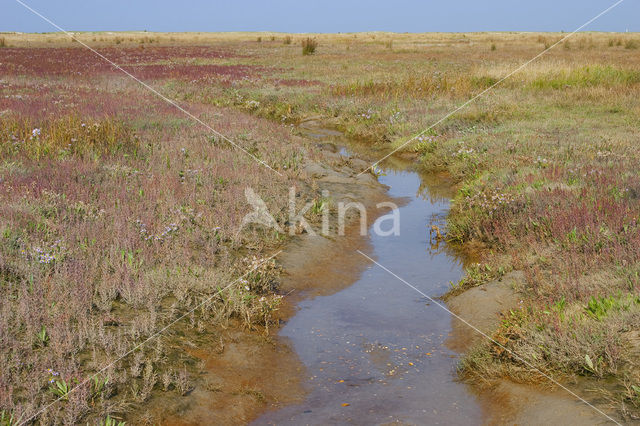 National Park Schiermonnikoog