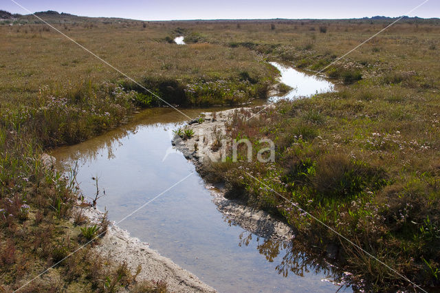 National Park Schiermonnikoog