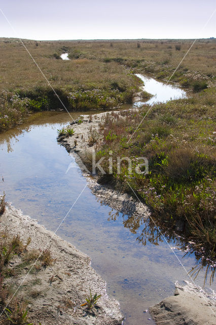 National Park Schiermonnikoog